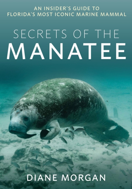 Book Cover for Secrets of the Manatee by Diane Morgan