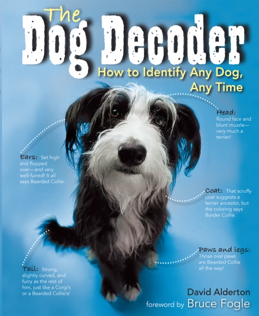 Book Cover for Dog Decoder by David Alderton