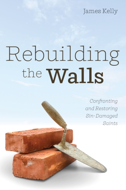 Book Cover for Rebuilding the Walls by James Kelly