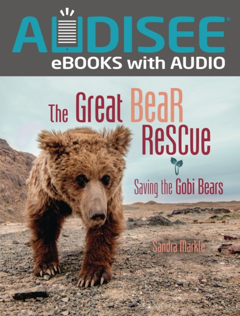 Book Cover for Great Bear Rescue by Sandra Markle