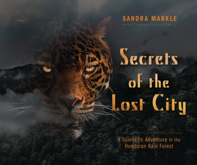 Book Cover for Secrets of the Lost City by Sandra Markle