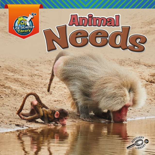 Book Cover for Animal Needs by Amstutz, Lisa J.