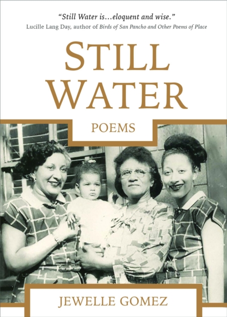 Book Cover for Still Water by Jewelle Gomez