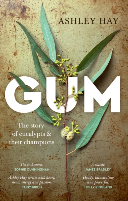 Book Cover for Gum by Ashley Hay