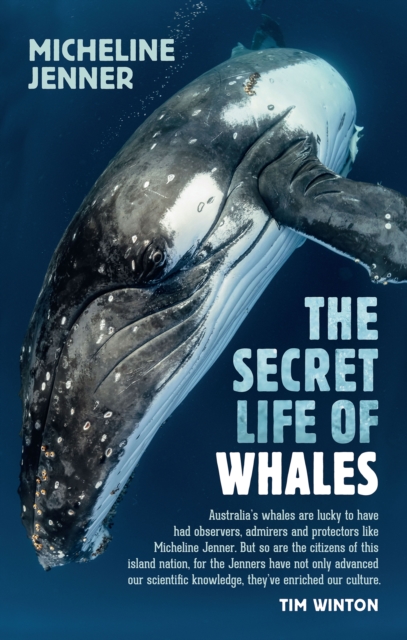 Book Cover for Secret Life of Whales by Micheline Jenner