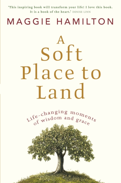 Book Cover for Soft Place to Land by Maggie Hamilton