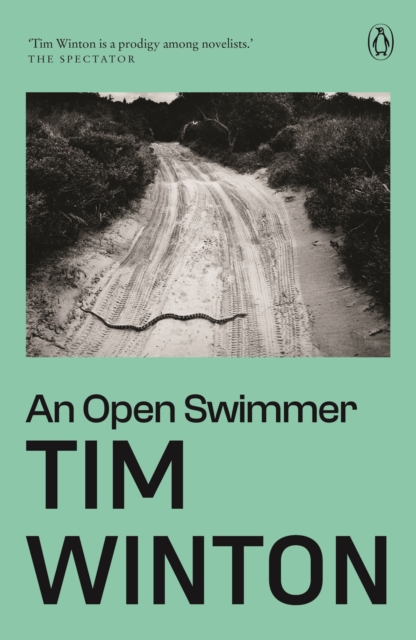 Book Cover for Open Swimmer by Winton, Tim