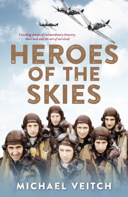 Book Cover for Heroes of the Skies by Michael Veitch