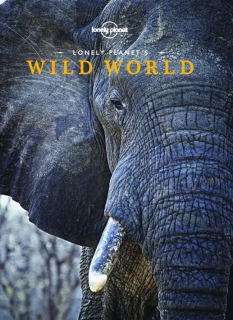 Book Cover for Lonely Planet's Wild World by Lonely Planet