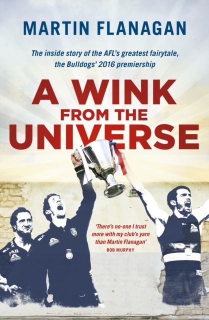 Book Cover for Wink from the Universe by Martin Flanagan