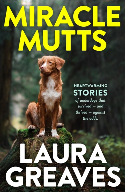 Book Cover for Miracle Mutts by Laura Greaves