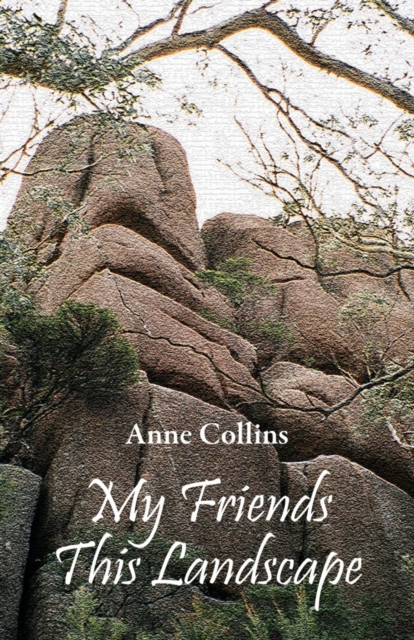 Book Cover for My Friends This Landscape by Anne Collins