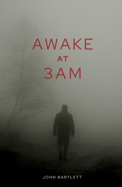 Book Cover for Awake at 3 a.m. by John Bartlett