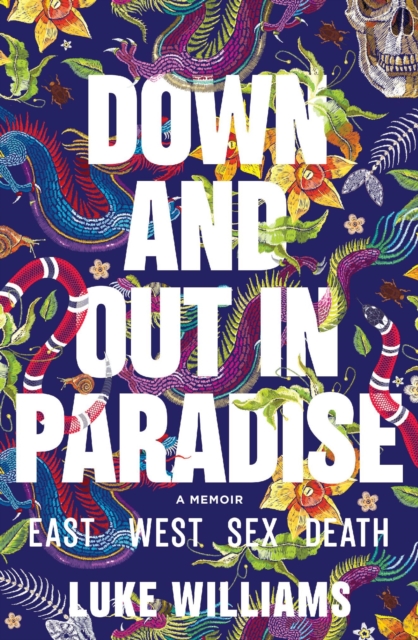 Book Cover for Down and Out in Paradise by Luke Williams