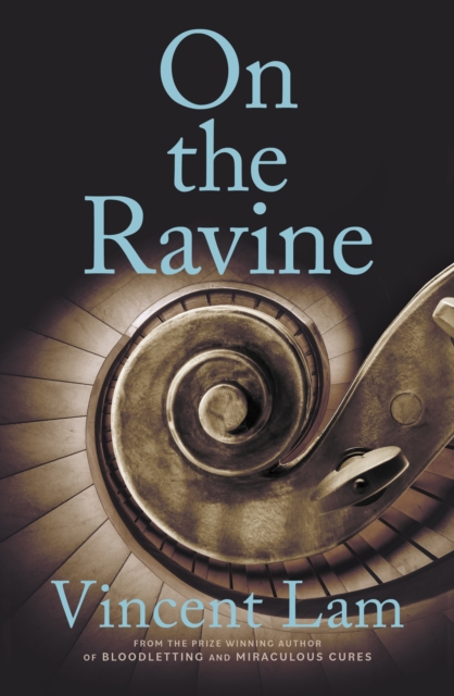 Book Cover for On the Ravine by Vincent Lam