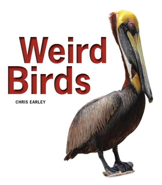 Book Cover for Weird Birds by Chris Earley