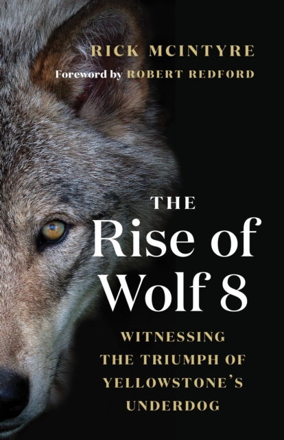 Book Cover for Rise of Wolf 8 by McIntyre, Rick