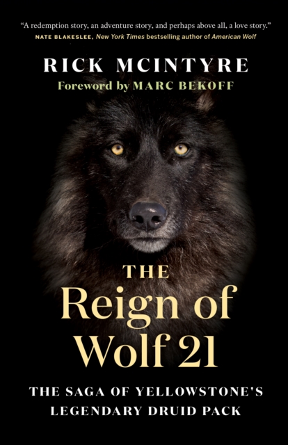 Book Cover for Reign of Wolf 21 by McIntyre, Rick