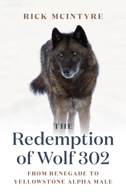 Book Cover for Redemption of Wolf 302 by McIntyre, Rick