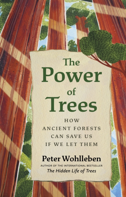 Book Cover for Power of Trees by Wohlleben, Peter