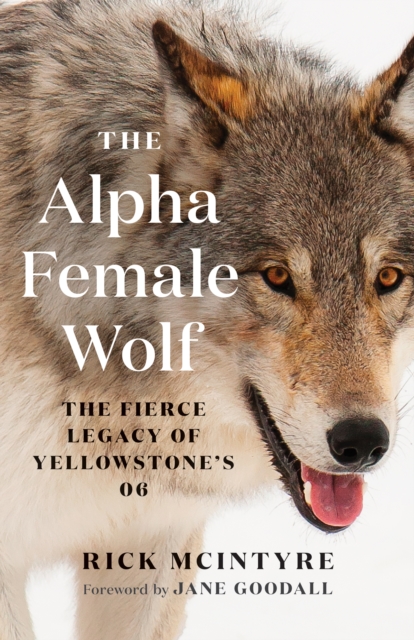 Book Cover for Alpha Female Wolf by McIntyre, Rick