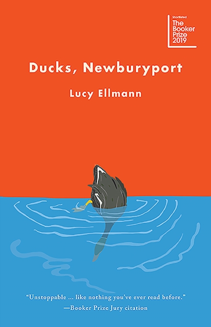 Book Cover for Ducks, Newburyport by Ellmann, Lucy