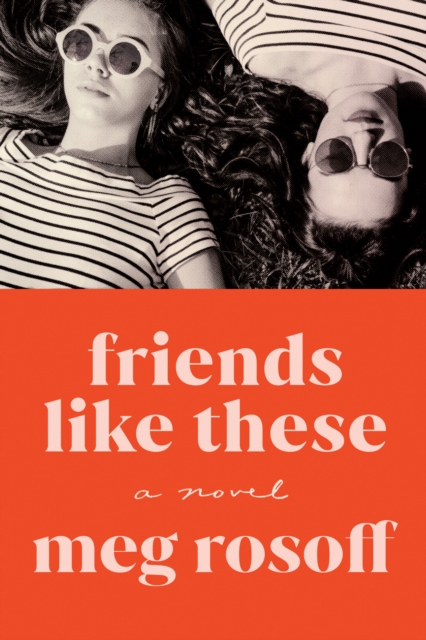 Book Cover for Friends Like These by Meg Rosoff