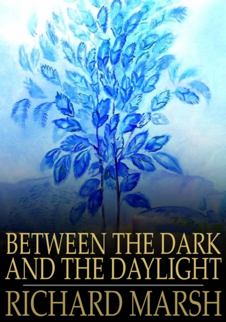 Book Cover for Between the Dark and the Daylight by Richard Marsh