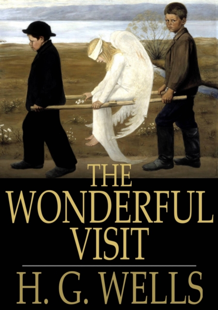 Book Cover for Wonderful Visit by H. G. Wells