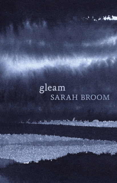 Book Cover for Gleam by Sarah Broom