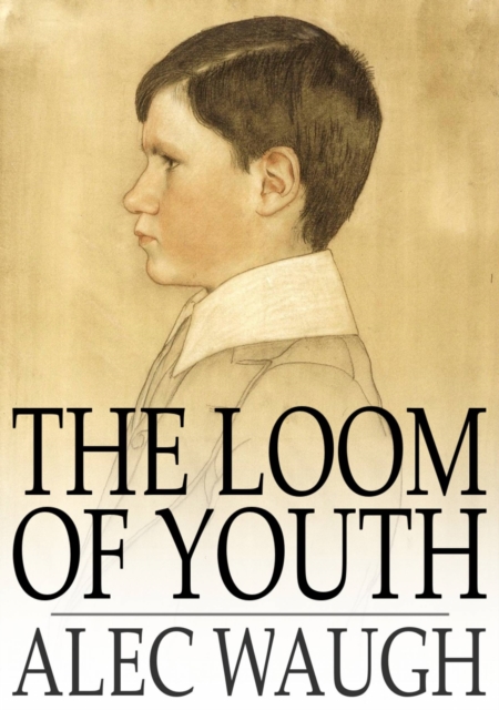Book Cover for Loom of Youth by Alec Waugh
