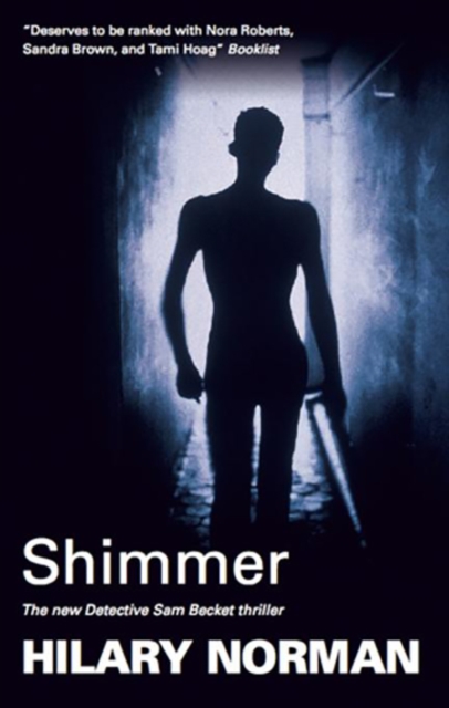 Book Cover for Shimmer by Hilary Norman