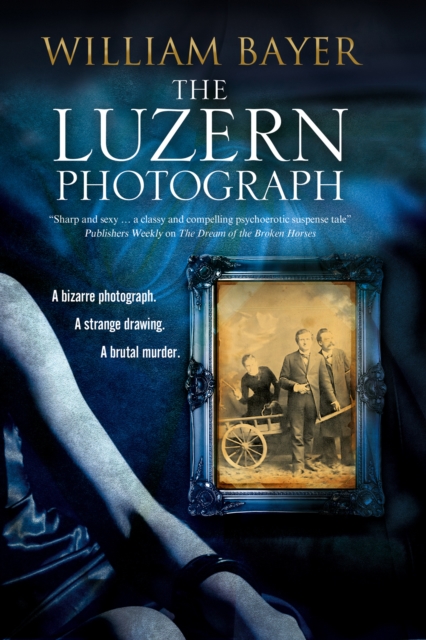 Book Cover for Luzern Photograph by William Bayer