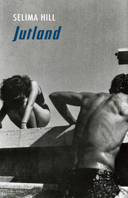 Book Cover for Jutland by Selima Hill