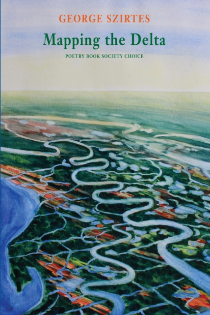 Book Cover for Mapping the Delta by Szirtes, George