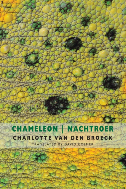 Book Cover for Chameleon | Nachtroer by Broeck, Charlotte Van den