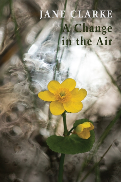 Book Cover for Change in the Air by Clarke, Jane