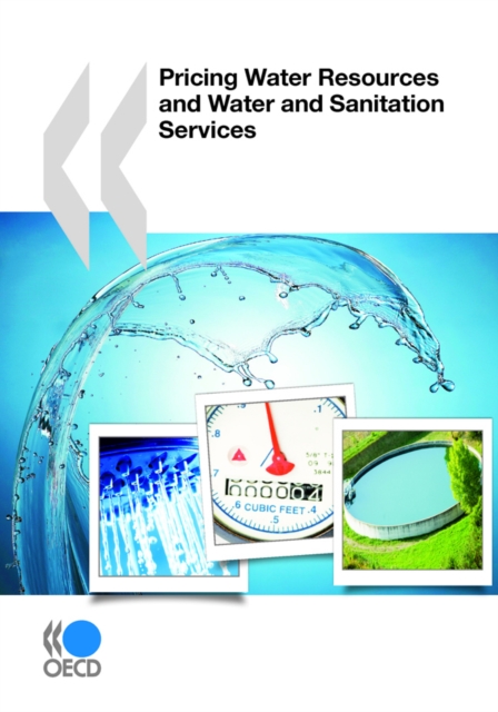 Book Cover for Pricing Water Resources and Water and Sanitation Services by Organisation for Economic Co-Operation and Development (OECD)