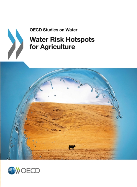 Book Cover for Water Risk Hotspots for Agriculture by Organisation for Economic Co-Operation and Development (OECD)