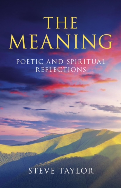 Book Cover for Meaning by Steve Taylor