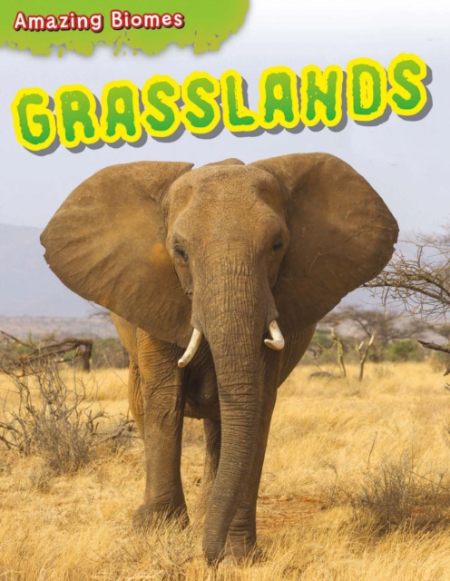 Book Cover for Grasslands by Leon Gray
