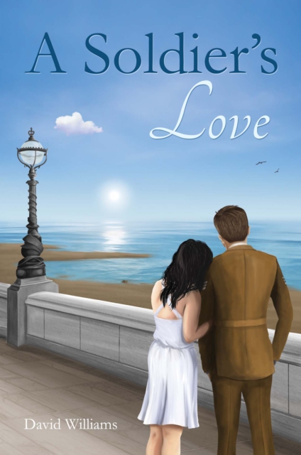 Book Cover for Soldier's Love by David Williams