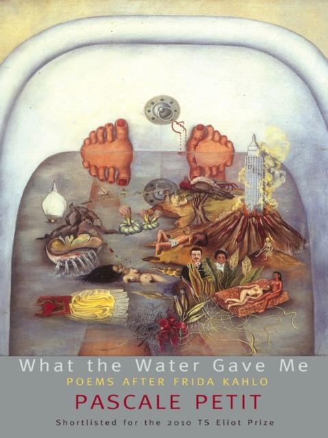 Book Cover for What the Water Gave Me: Poems After Frida Kahlo by Pascale Petit