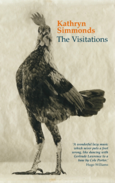 Book Cover for Visitations by Simmonds, Kathryn