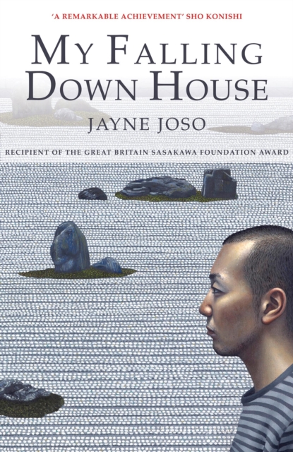 Book Cover for My Falling Down House by Jayne Joso