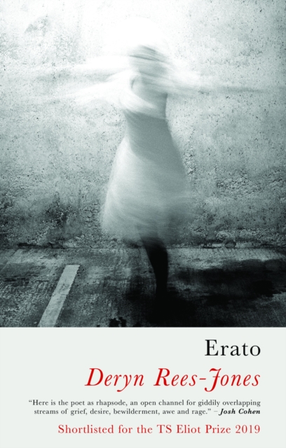 Book Cover for Erato by Deryn Rees-Jones