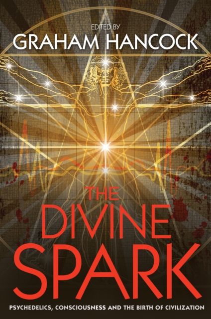 Book Cover for Divine Spark by Graham Hancock