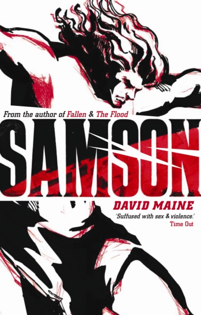 Book Cover for Samson by David Maine