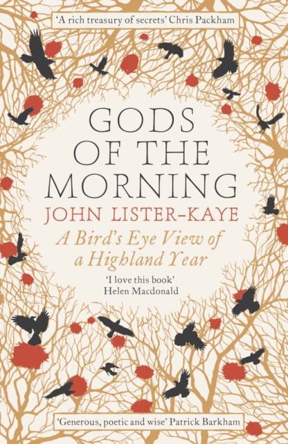 Book Cover for Gods of the Morning by John Lister-Kaye