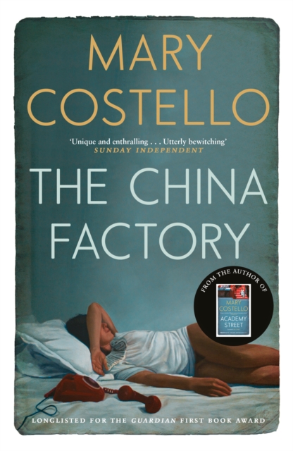 Book Cover for China Factory by Mary Costello